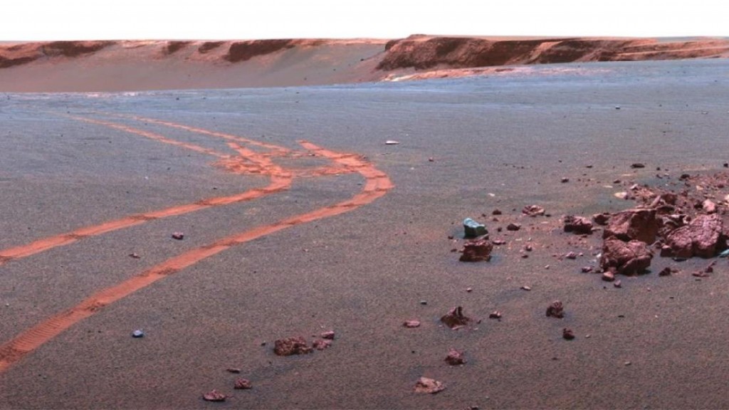 Dunyadaki Canlilar Dünyadaki Canlılar