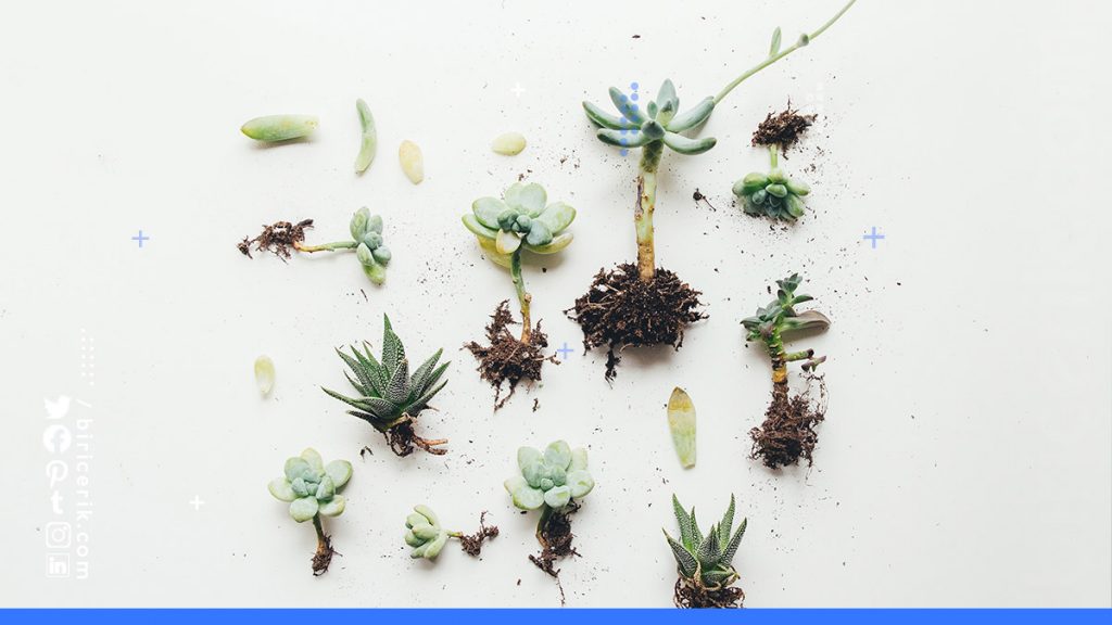 Dgs Bahce Bitkileri Bolumu 3. Siniftan Baslatan Universiteler 2021 2022 4