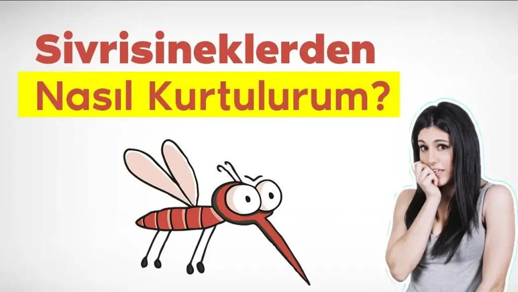 Sivrisineklerden Nasil Korunulur1 1024x578 1 Sivrisineklerden Nasıl Korunulur