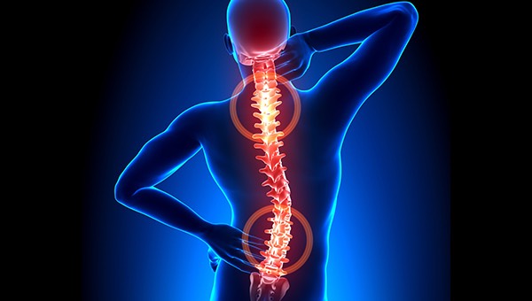 Bel Ve Boyun Fitiklari 28677