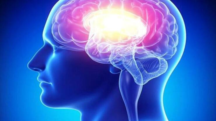 593A3Dd761361F1A5C52Dce4