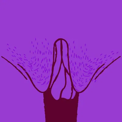 belirgin ic dudaklar Belirgin İç Dudaklar